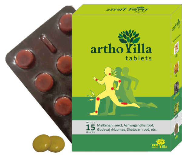 ARTHOVILLA AYURVEDIC TABLET