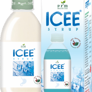 ICEE SYRUP MINT