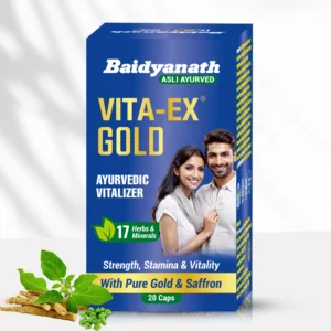 Baidyanath Vita-Ex Gold Capsule for Men, Vita-Ex Gold Capsule benefits, men's vitality capsule, Ayurvedic stamina booster, men's health supplement Ayurveda, Shilajit capsule for men, Ashwagandha vitality supplement, energy and stamina capsule, Baidyanath men's wellness capsule, Vita-Ex Gold uses