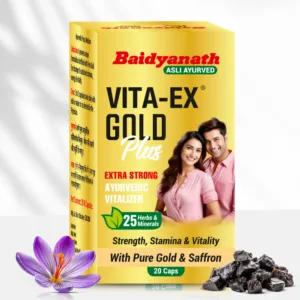 Baidyanath Vita-Ex Gold Plus Capsule, Vita-Ex Gold Plus benefits, Ayurvedic stamina capsule, energy booster supplement, vitality support capsule, Ashwagandha Shilajit capsule, strength and endurance supplement, Ayurvedic wellness capsule, Baidyanath Vita-Ex Gold Plus uses, herbal vitality supplement